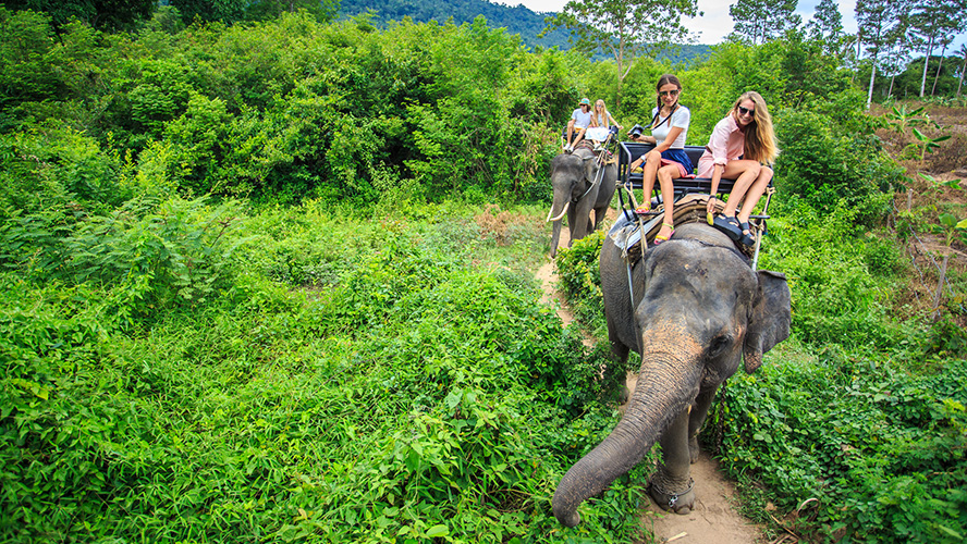 Sri Lanka Safari Adventure 4